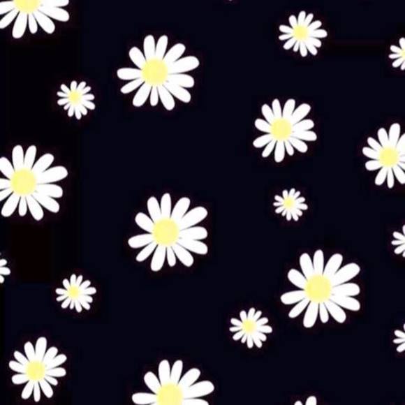 Meet your Posher, Nora - Picture 1 of 1